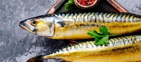 omega 3 mackerel
